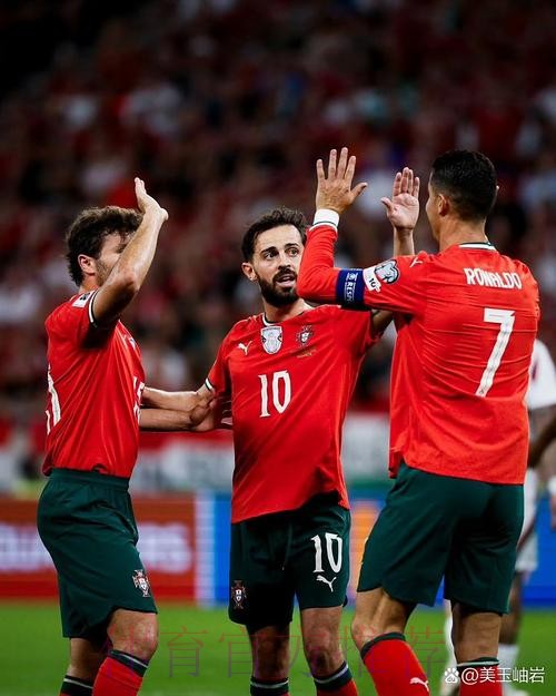 最新世界杯比利时C罗比赛解读权威解读 最新世界杯比利时C罗比赛解读权威解读